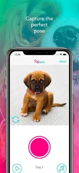 Game screenshot Petcam - Pet Camera hack