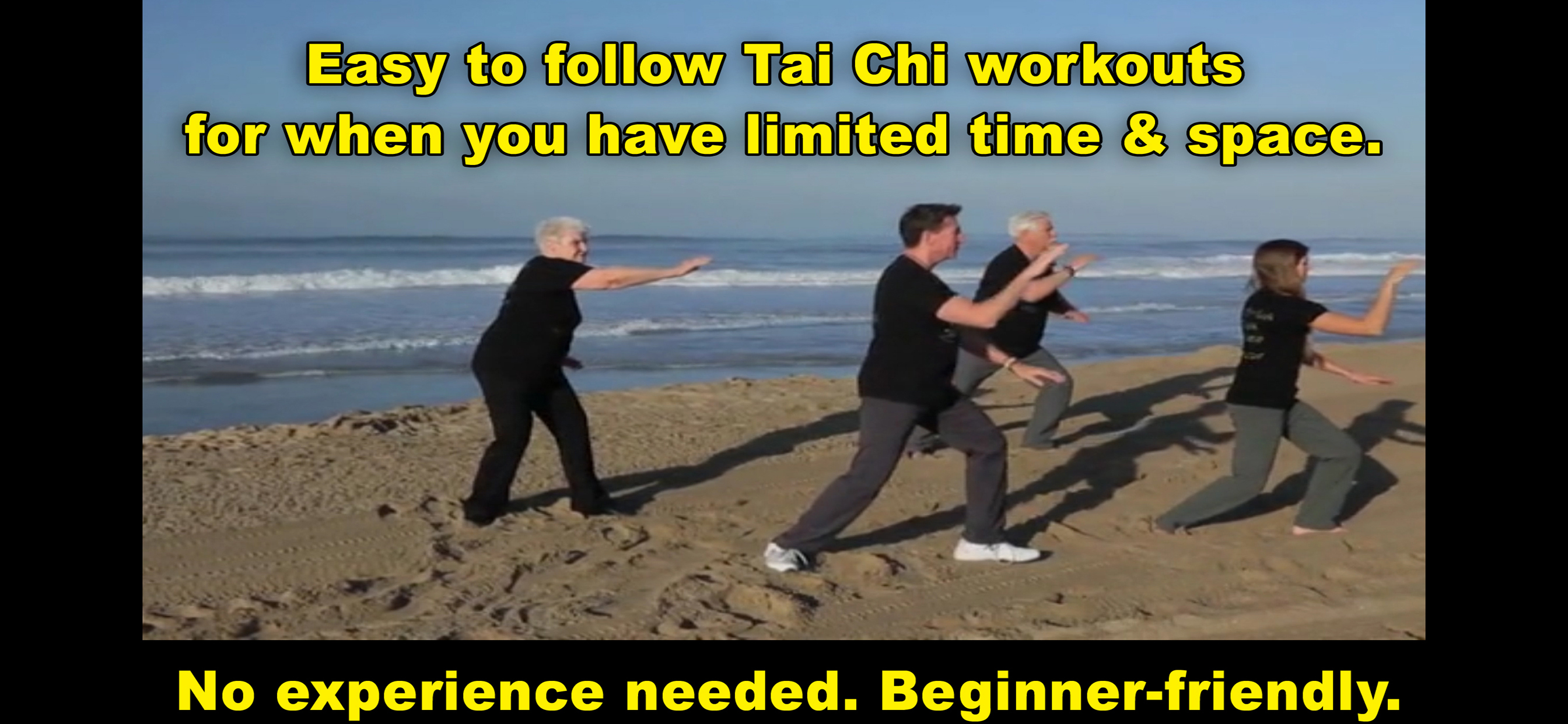Tai Chi Fit TO GO