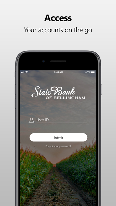 State Bank of Bellingham Screenshot