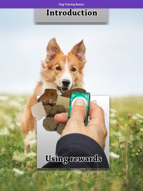 Screenshot #4 pour Basic Dog Training