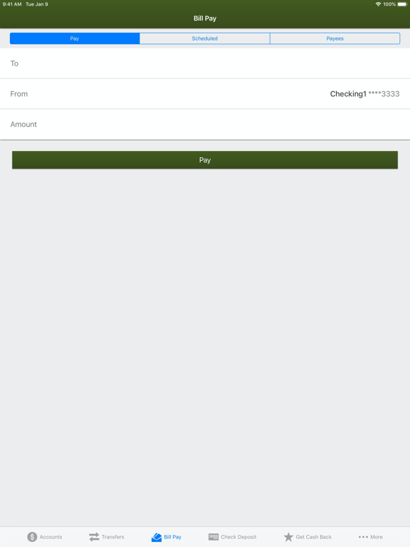 Argent Mobile Banking iPad screenshot 5 - Finance app