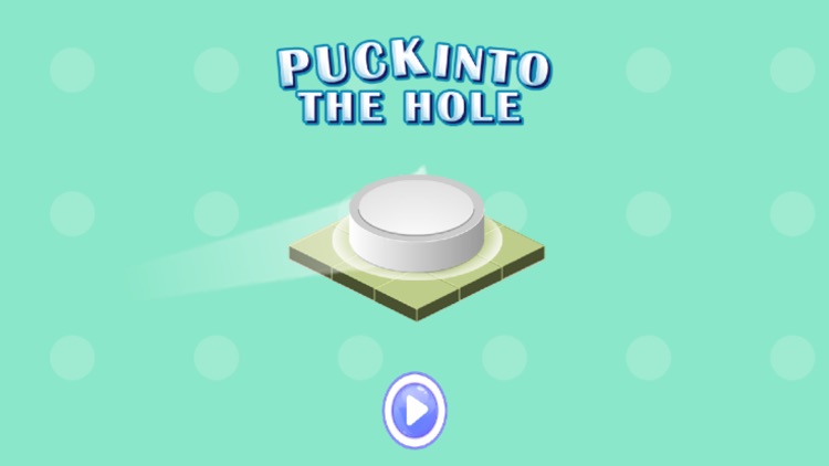 Puck Into The Hole