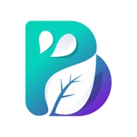 Bestrong app not working? crashes or has problems?