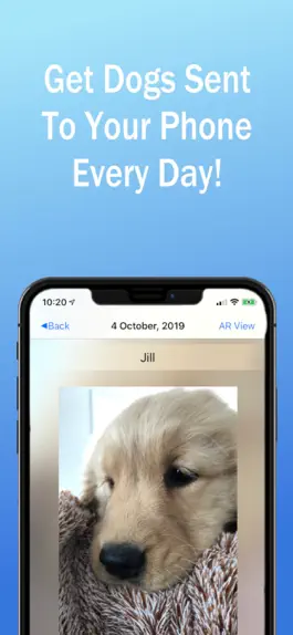 Game screenshot Dog of the Day apk