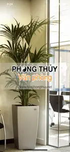 Phong Thuy Van Phong screenshot #1 for iPhone