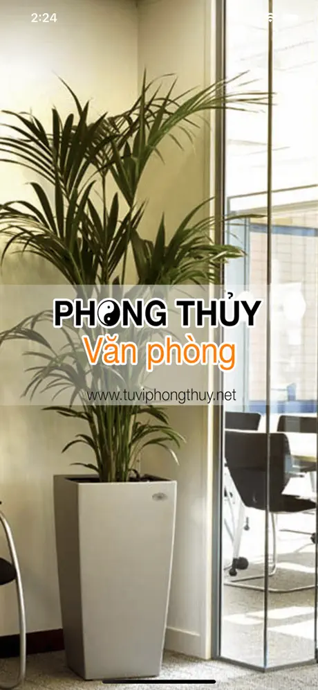 Phong Thuy Van Phong