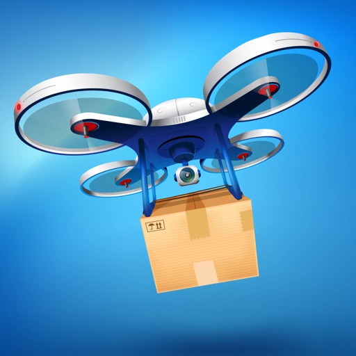 Drone Delivery icon