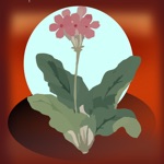 Download Garden,Seed Tracker,Organizer app