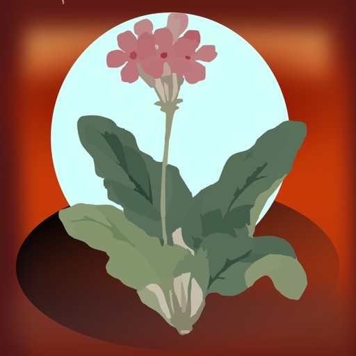 Garden,Seed Tracker,Organizer icon