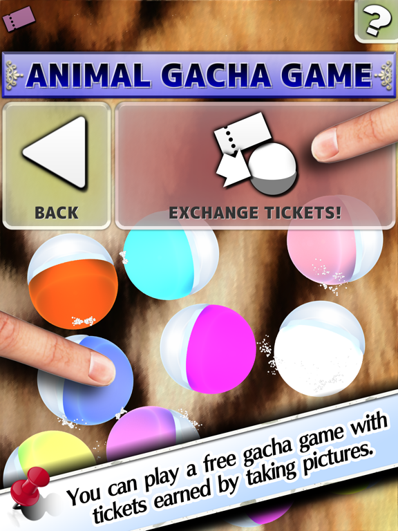 Fluffy Camera iPad screenshot 5 - Photo & Video app