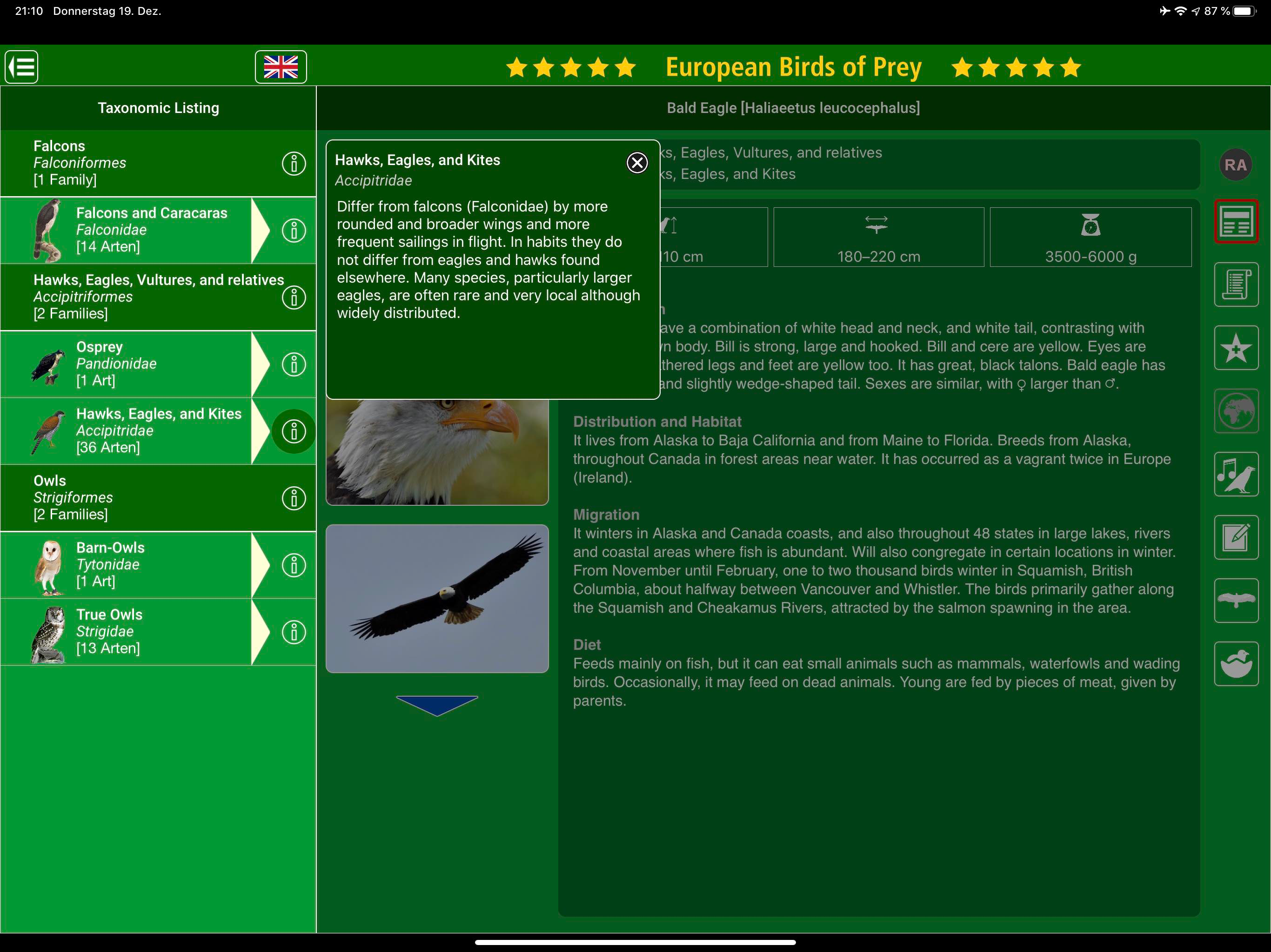 Birds of Prey and Owls screenshot 11