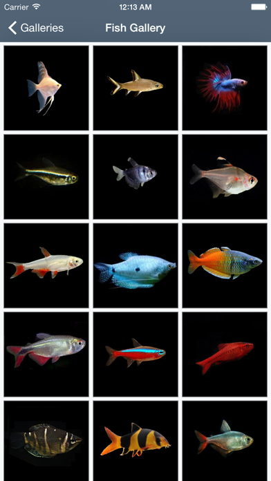 My Aquarium Guide Screenshot