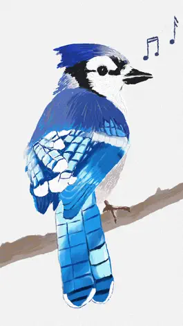 Game screenshot BirdSong ID (US) mod apk