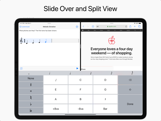 Solfeggio iPad screenshot 8 - Music app