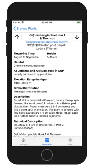 Wildflowers of Mount Everest screenshot 4