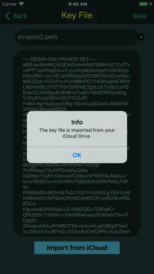 ITerminal - SSH Telnet Client iPhone Ekran Görüntüsü 8