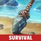 How did you get to this island
