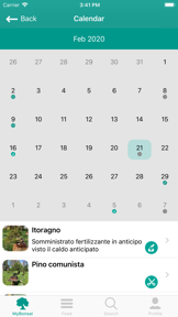 BonsaiDo screenshot