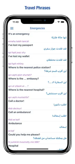 Arabic Dictionary Premium screenshot 19