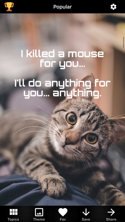 Funny Laughs LOL! Pics & Jokes