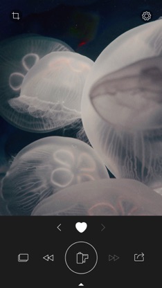 RNI Colibri screenshot 1