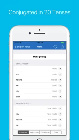Game screenshot English Verb Conjugator apk