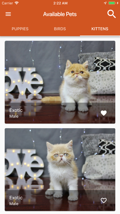 Petland USA Screenshot