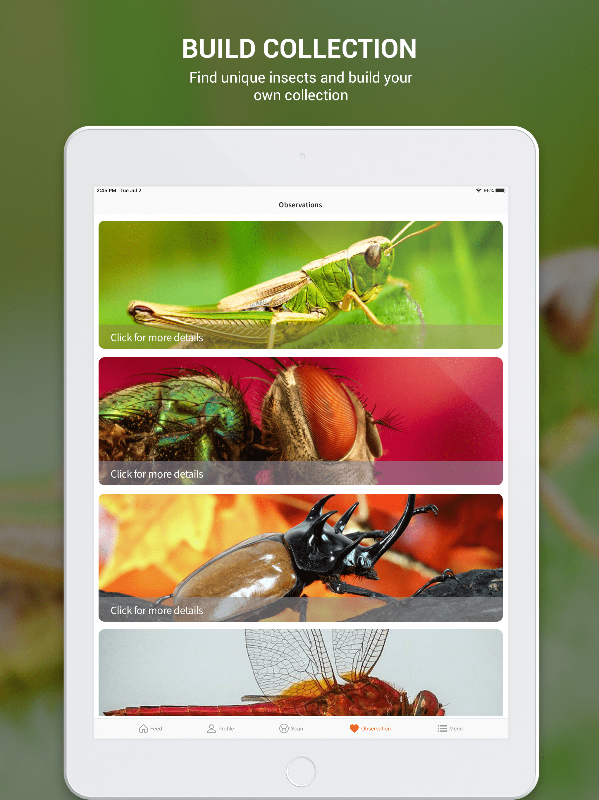 Insect identifier by photo