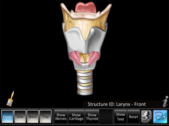 Screenshot #4 pour Larynx ID