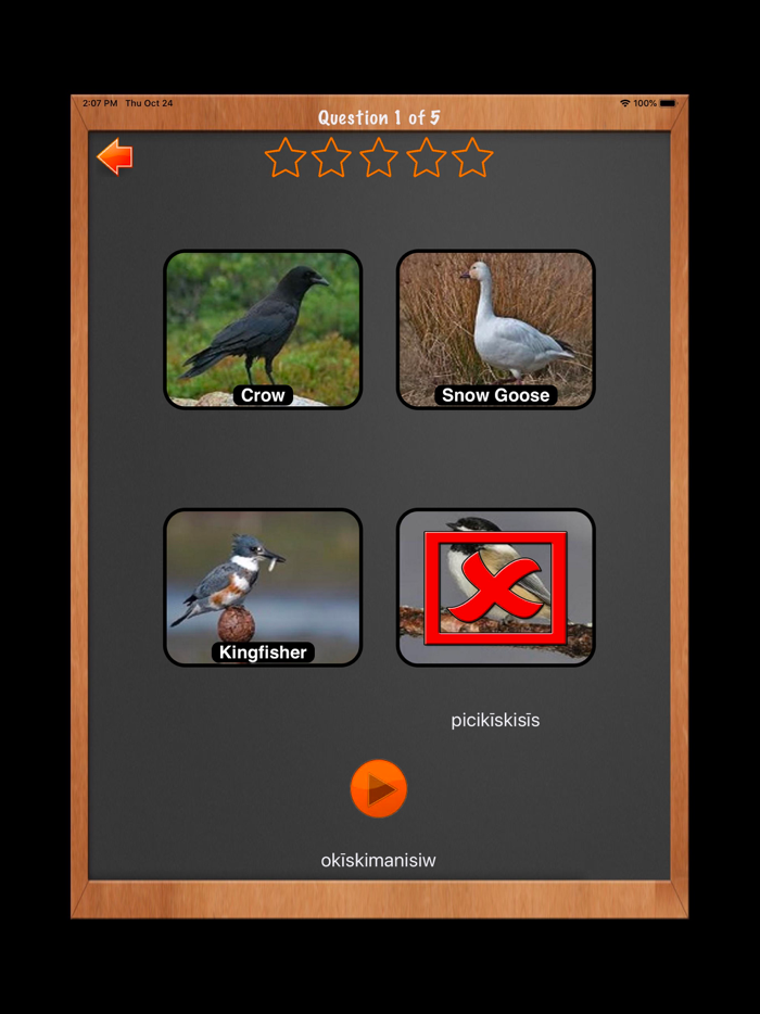 Learn ML Plains Cree