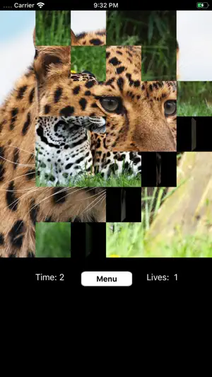 Flipping Fun screenshot 1