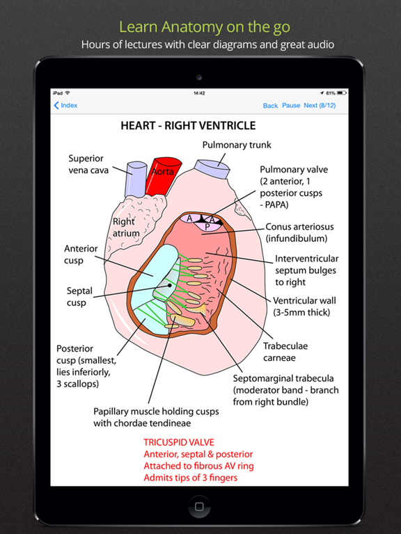 Screenshot #4 pour Anatomy Lectures and MCQs