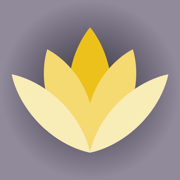 WebChartMD: Dictate and Review