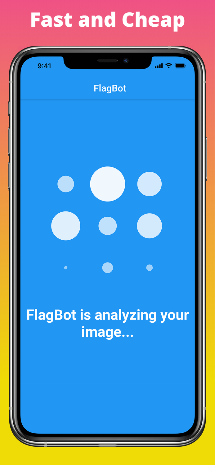 FlagBot - Flag Identification