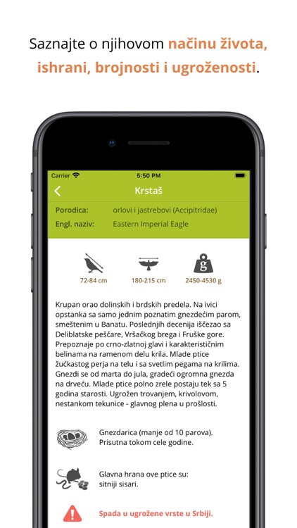 Ptice na dlanu screenshot-3