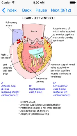 Game screenshot Anatomy Thorax and Abdomen mod apk