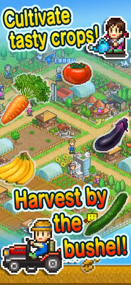 Pocket Harvest