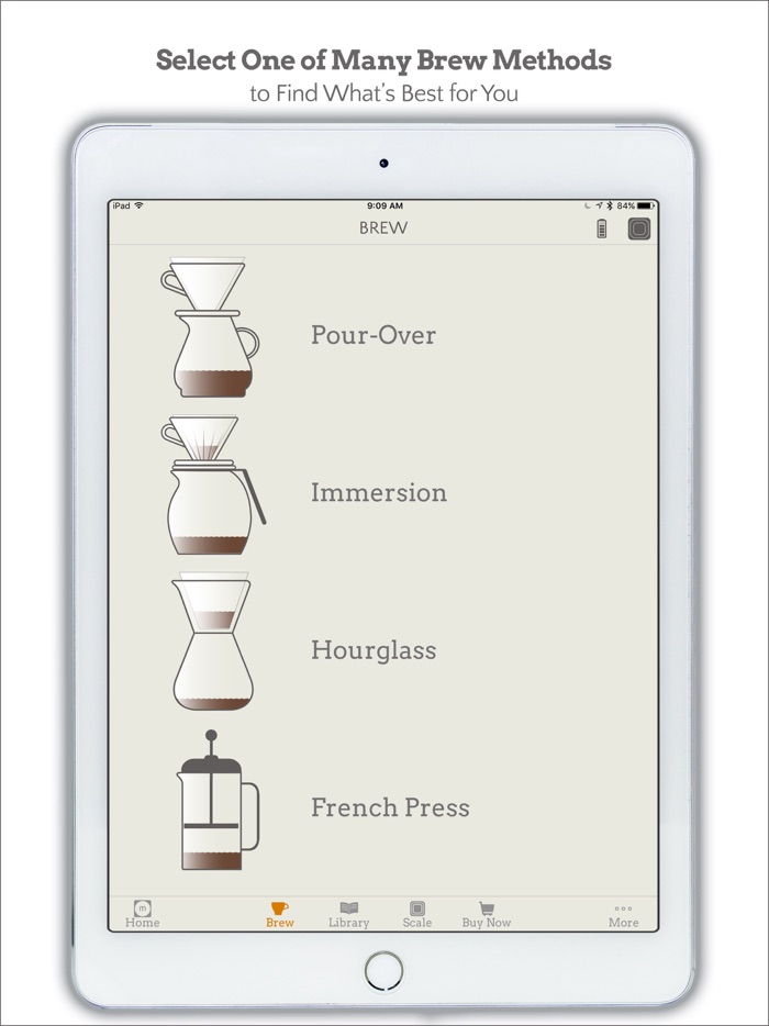 Motif Mentor Coffee Scale