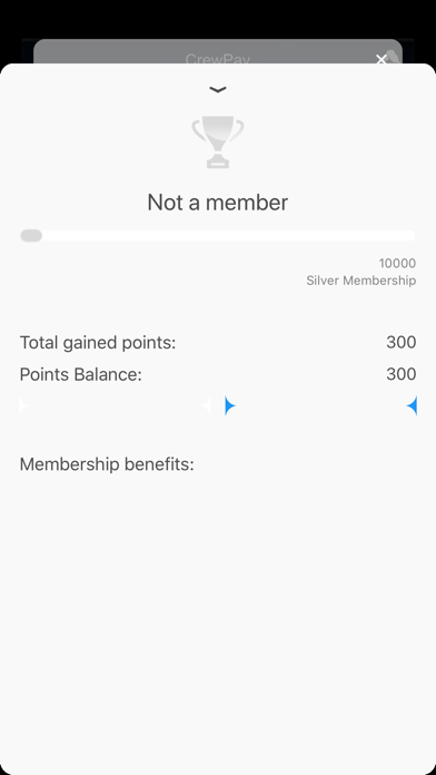 CrewPay screenshot 3