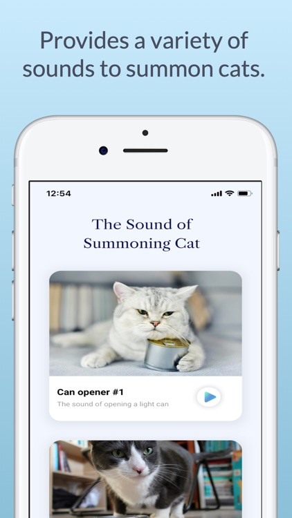 The Sound of Summoning Cat