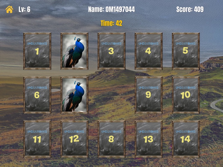 OmegaMatching for iPad