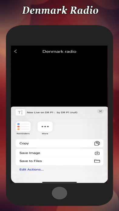 Denmark Radioのおすすめ画像3
