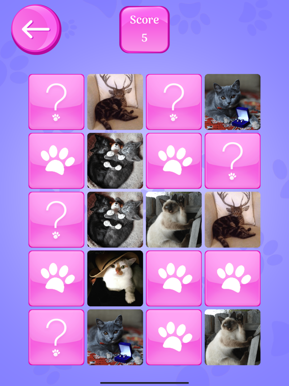 Screenshot #4 pour Cute Cats Memory Match Game