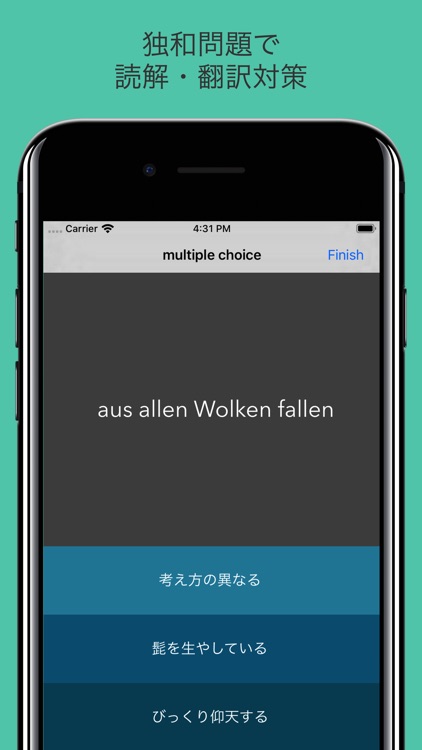 上級 ドイツ語 - Oberstufe