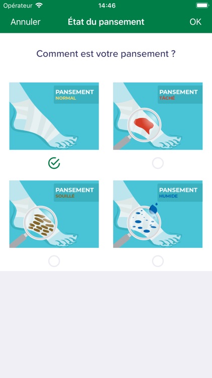 Ambulis by Homeperf screenshot-6