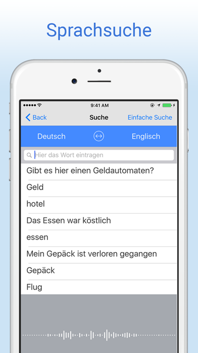 Deutsch-Englisch Wörterbuch. Screenshot