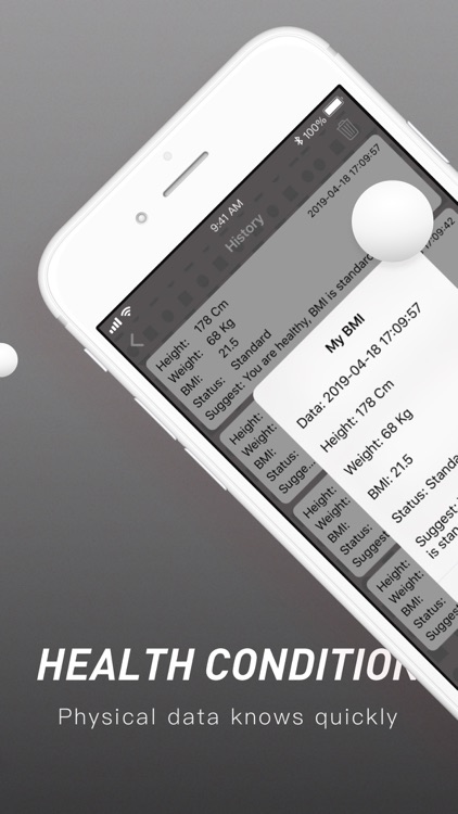 BMI Computer screenshot-3