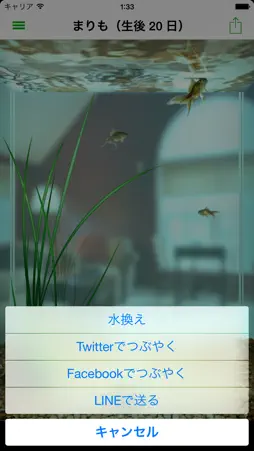 The Marimo screenshot 2