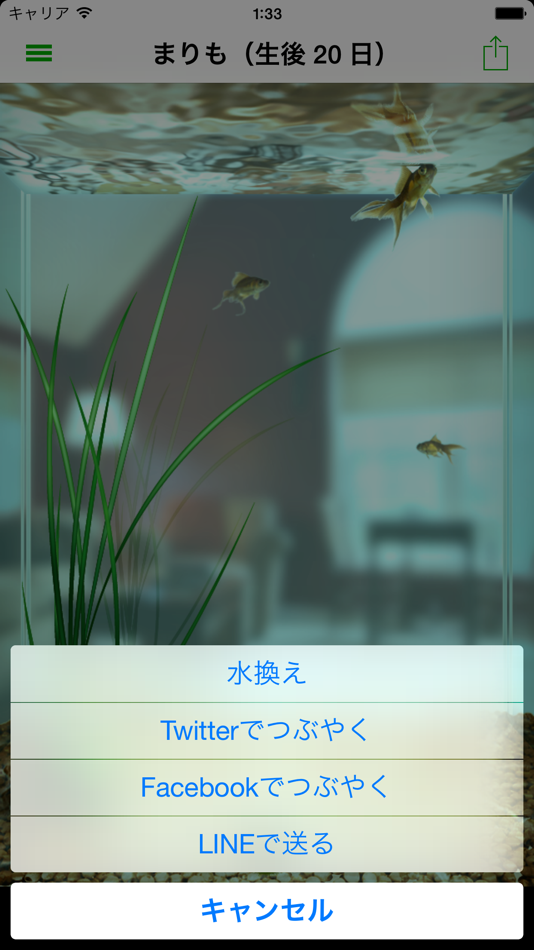 #2. The Marimo (iOS) 由: Kosuke Ogawa