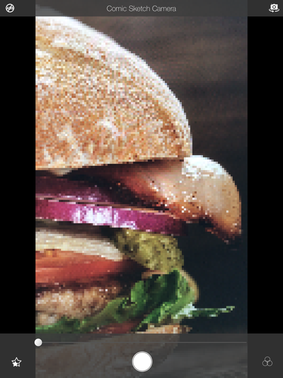 Comic Sketch Camera iPad screenshot 8 - Photo & Video app